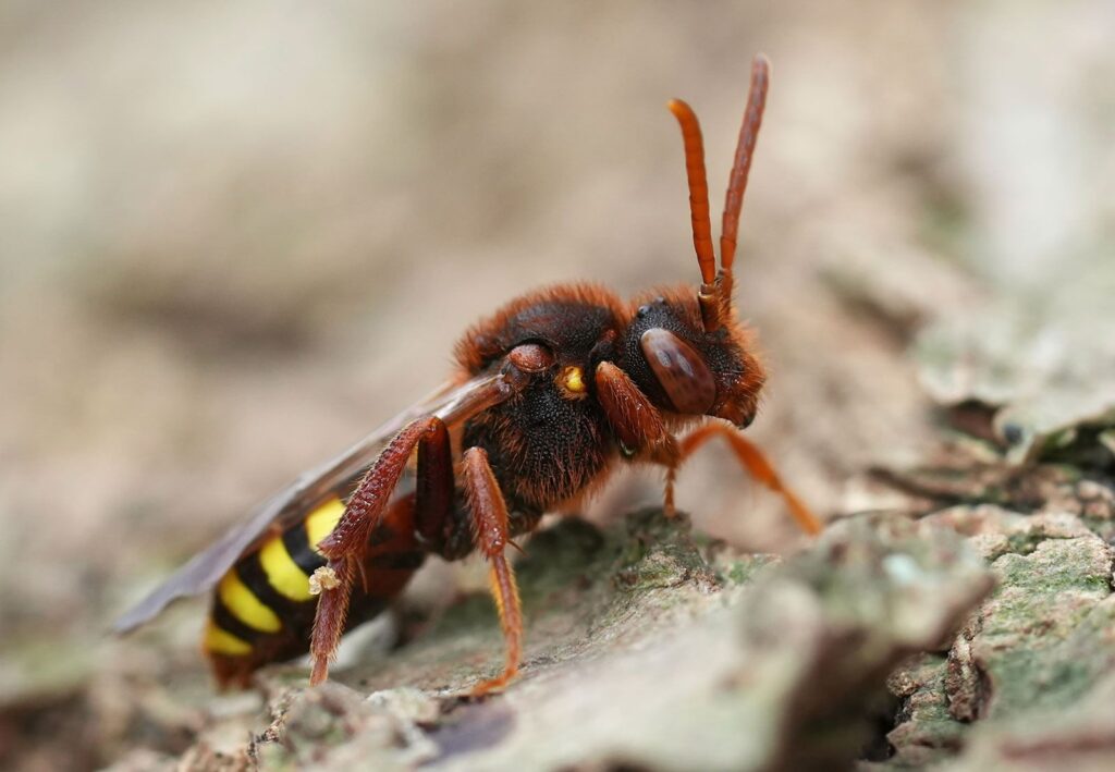 Best Darn Pest Control – Port St. Lucie, FL