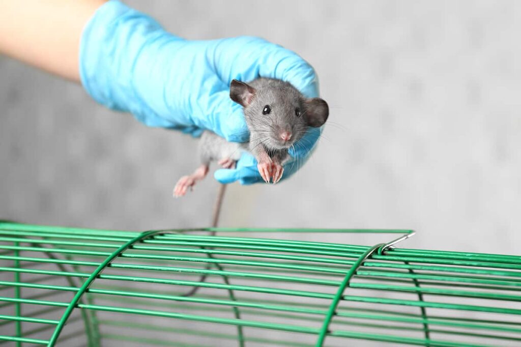 Best Darn Pest Control – Port St. Lucie, FL