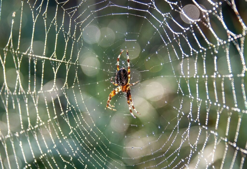 Best Darn Pest Control – Port St. Lucie, FL