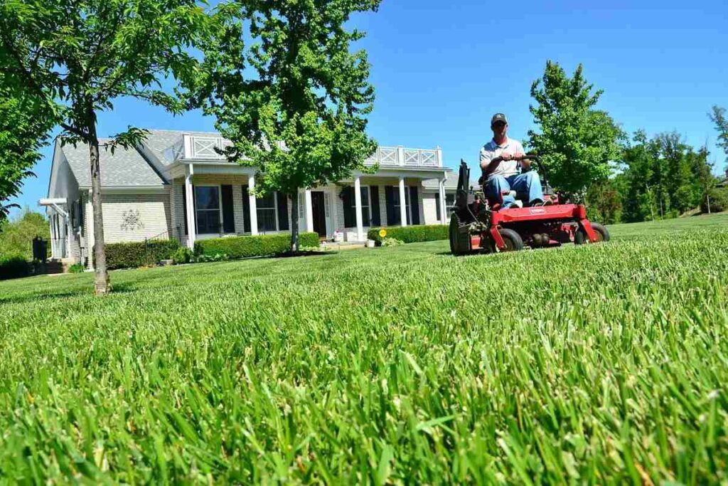 Best Darn Pest Control – Port St. Lucie, FL