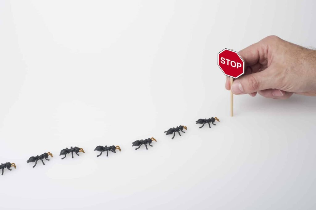 Best Darn Pest Control – Port St. Lucie, FL