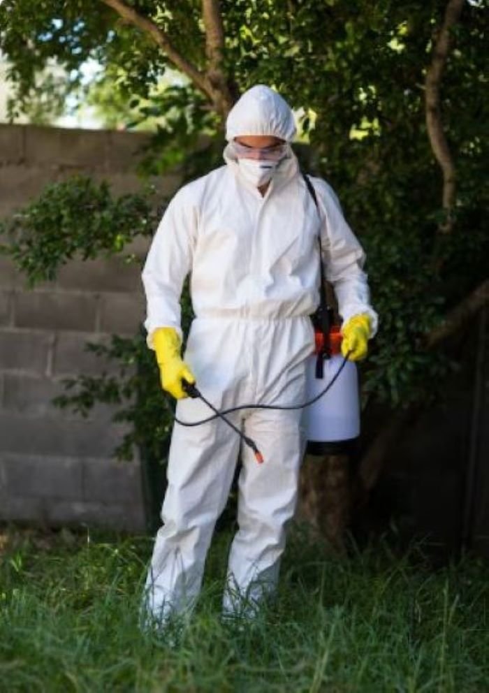 eco-friendly-pest-solutions-port-st-lucie